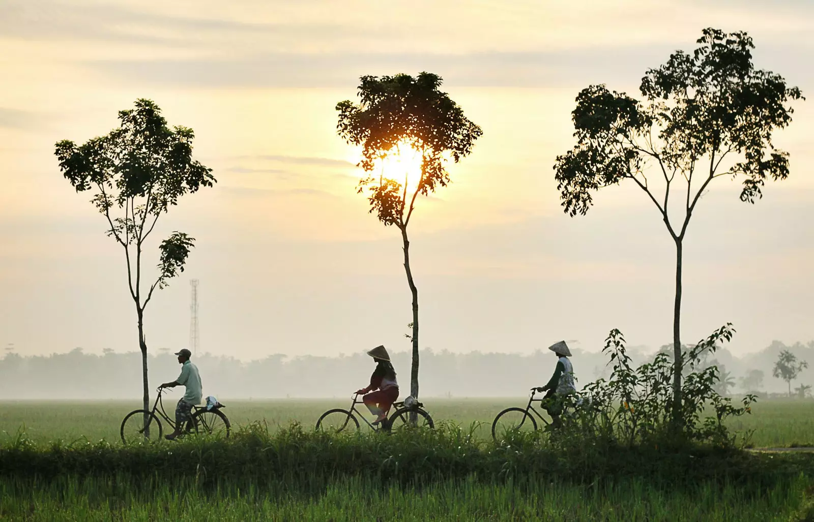 indonezijski Kebumen