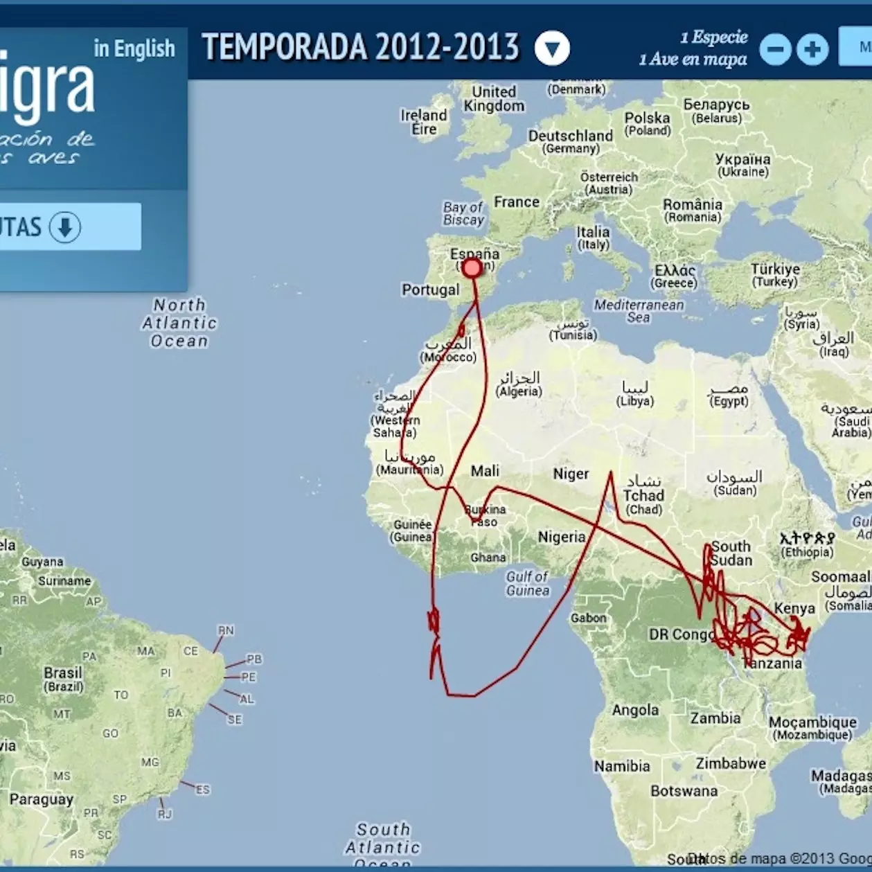 Dette er trekkveien til swiftene, en reise på mer enn 20 000 kilometer