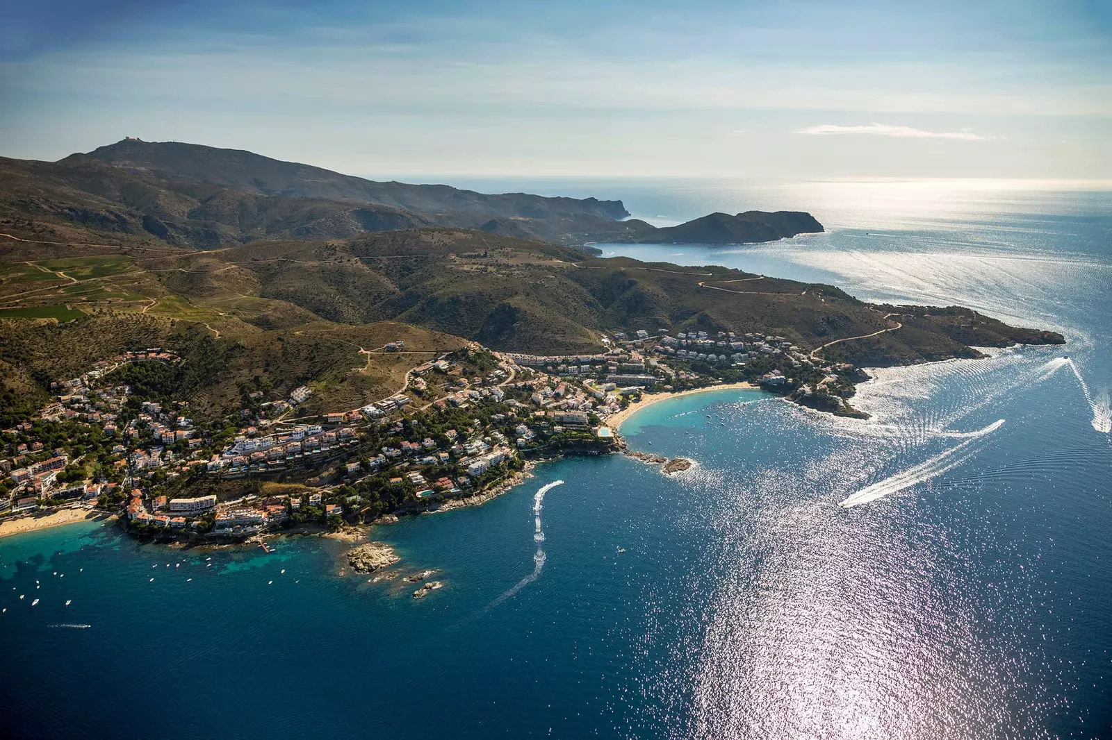 Vista aérea de rosas