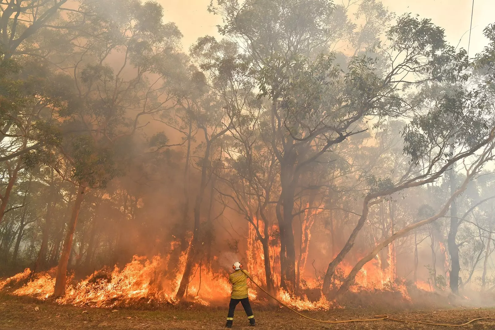 Vigile del fuoco che lavora negli incendi boschivi australiani