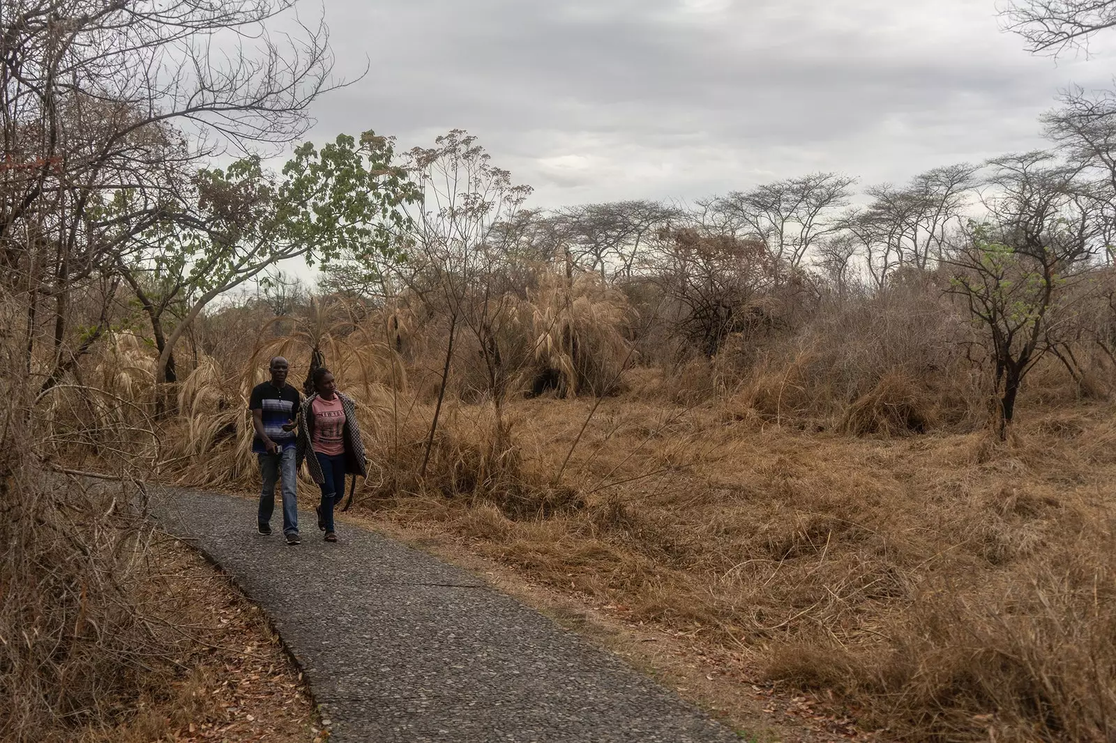 Victoria Falls environment