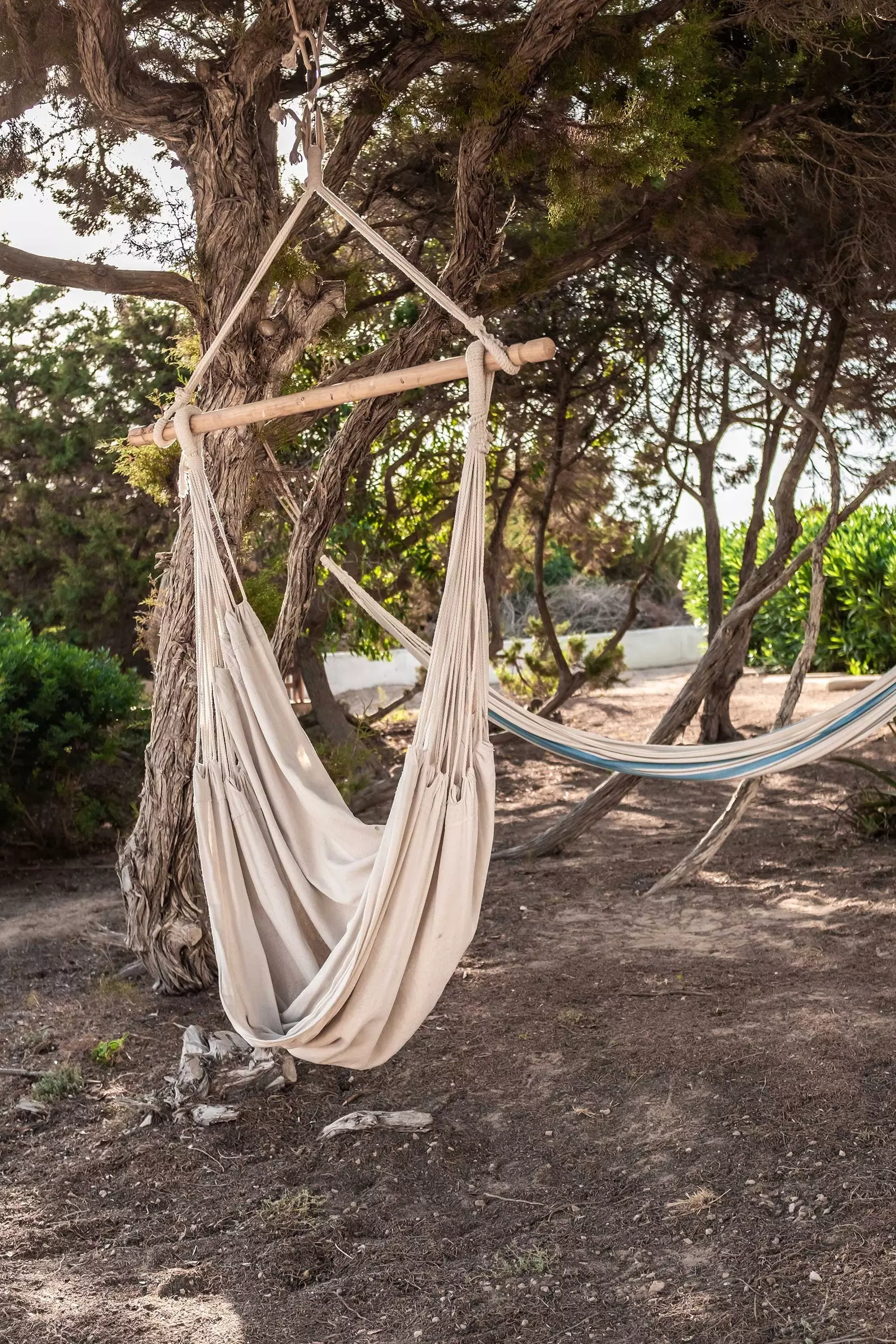 Hammock taħt il-ġnibru fl-Hostal Aigua Clara