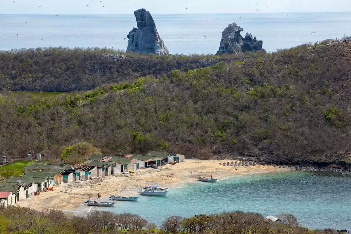 Jacques-Yves Cousteau francia filmrendező a kis mexikói Galápagos néven keresztelte Isabel-szigetet.