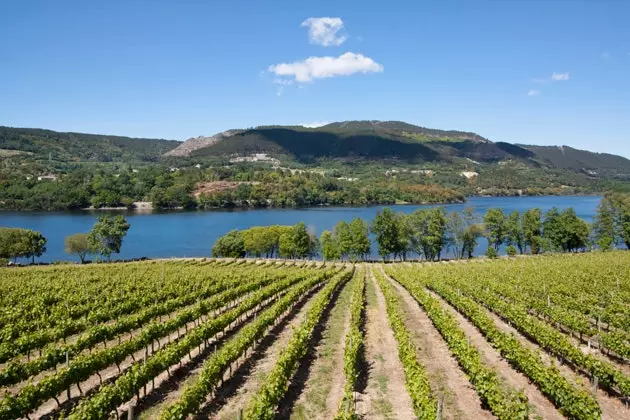 Ribeira Sacra