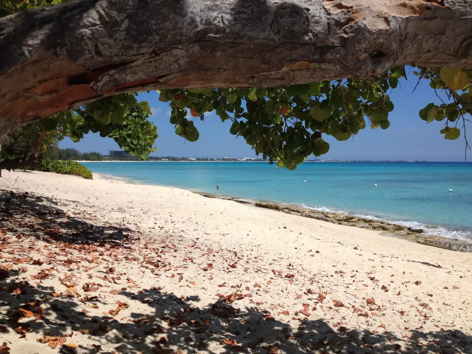 Cemetery Beach Grand Cayman-ban