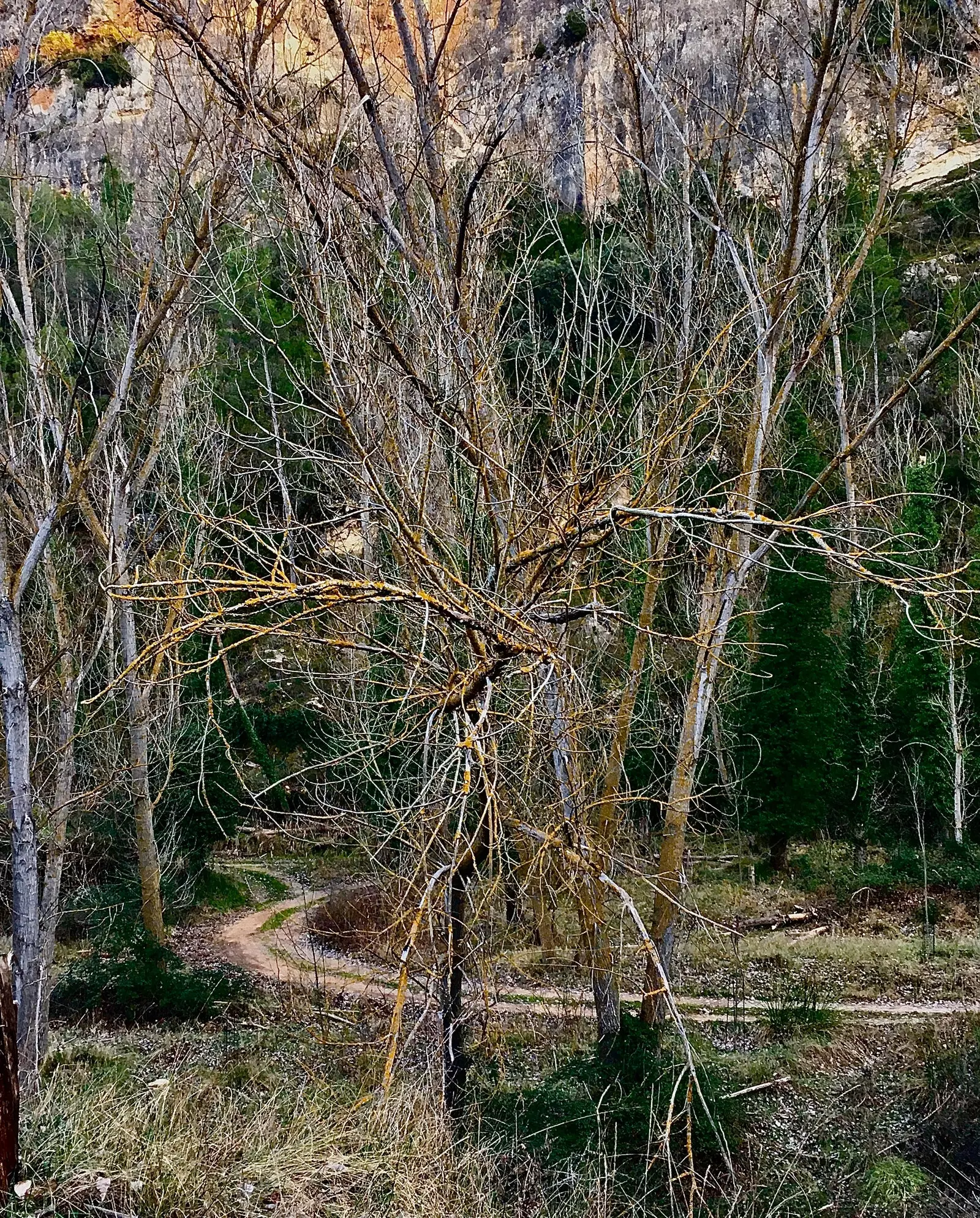 El camí que porta a Niadela