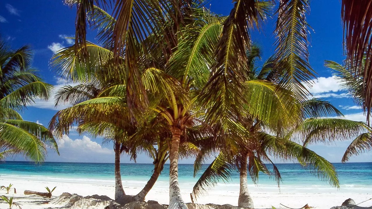 Punta Allen, czy ktoś powiedział Karaiby?