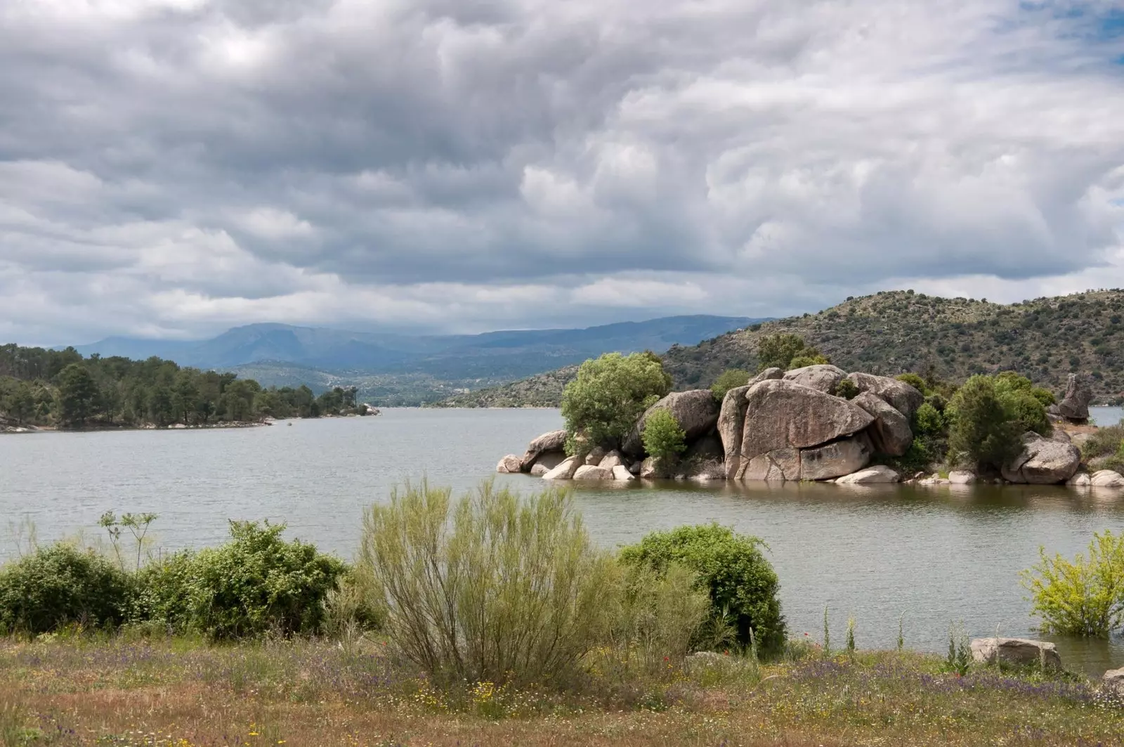 The surroundings of the Burguillo Island.