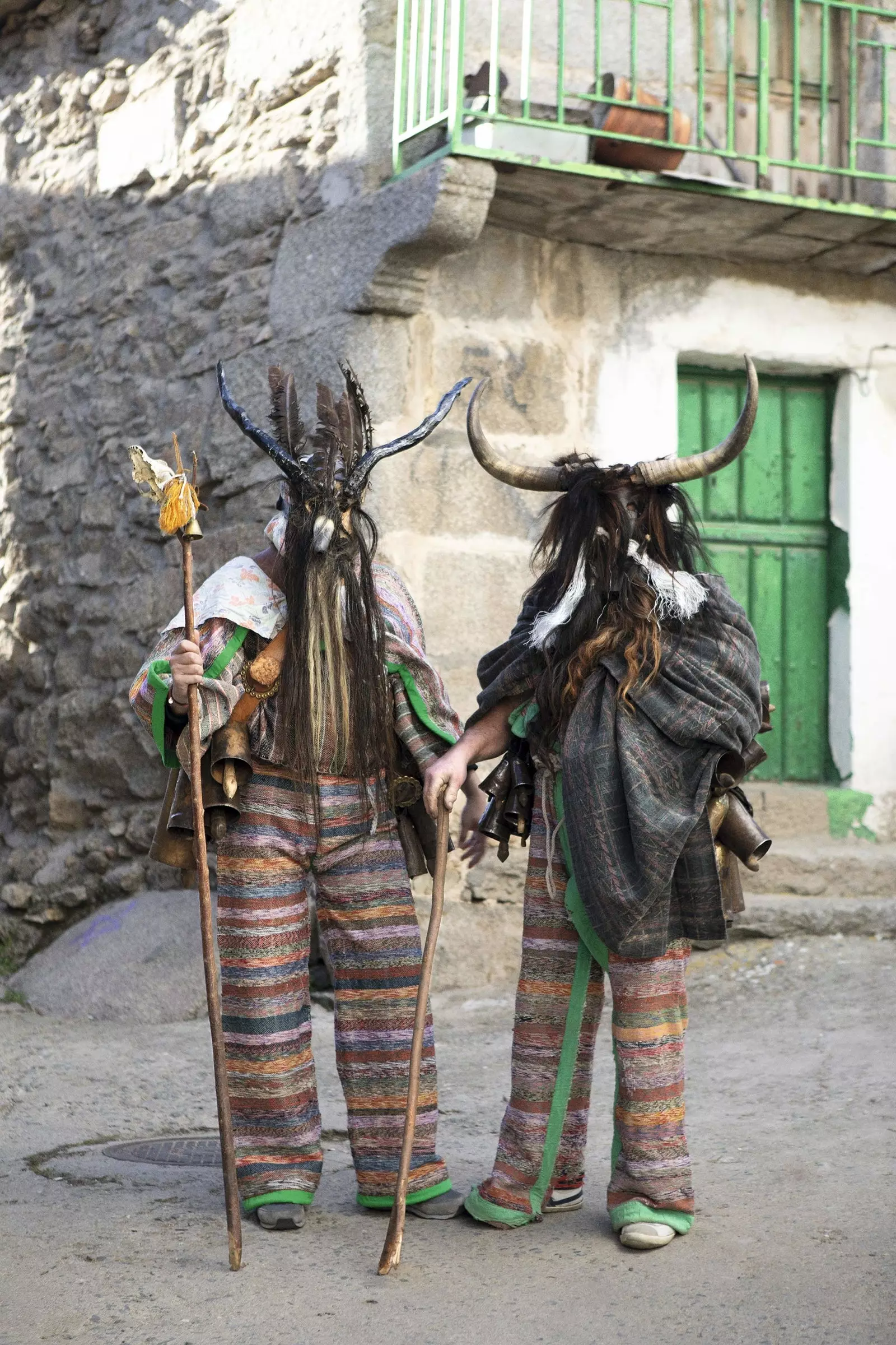 Casal de cucurrumachos com sua elegância