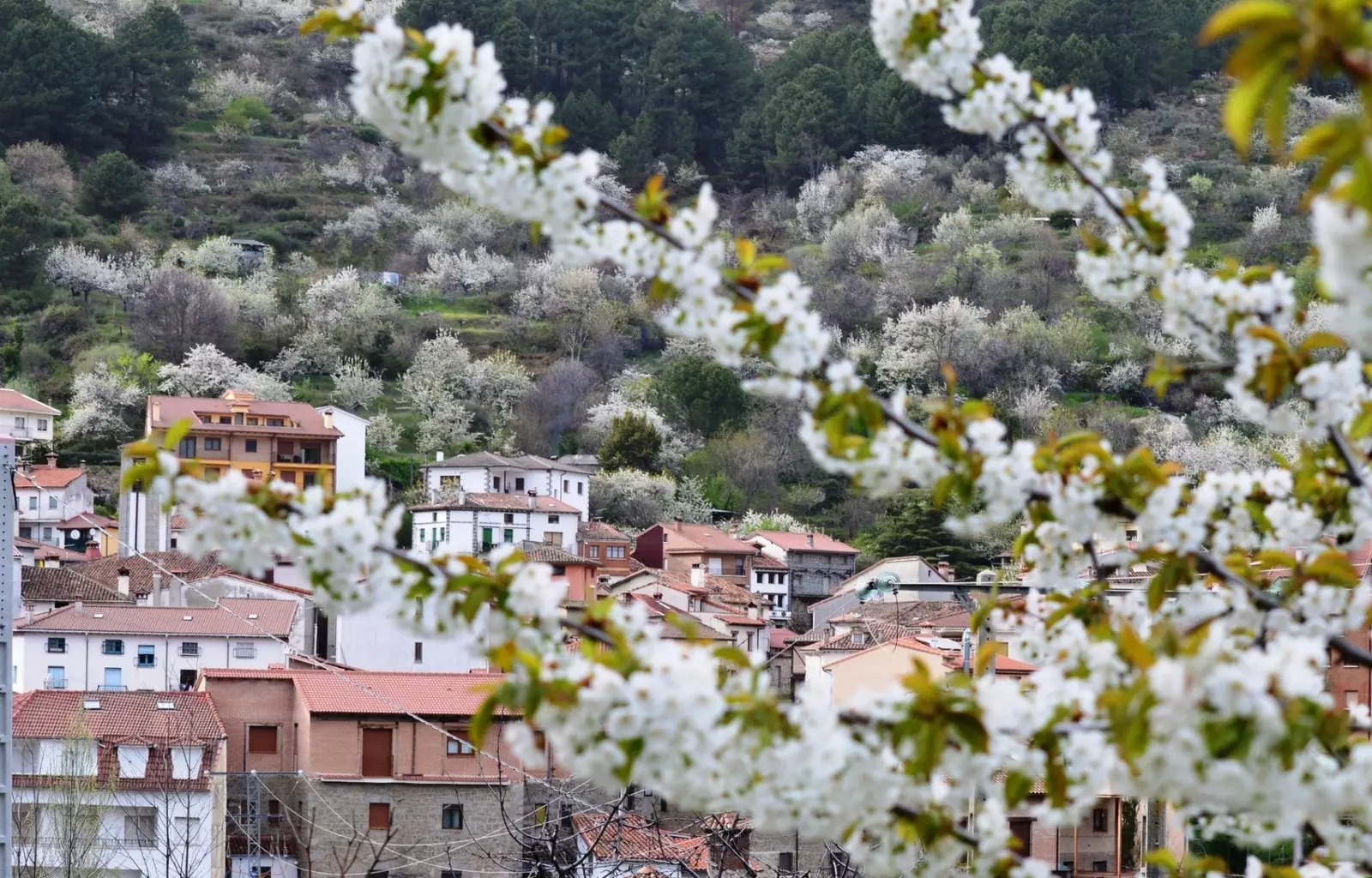 Viste dal Mirador del Manco