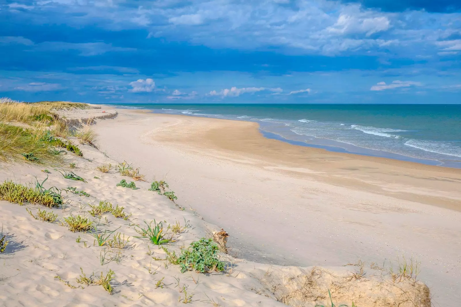 Ilha da Culatra em Faro