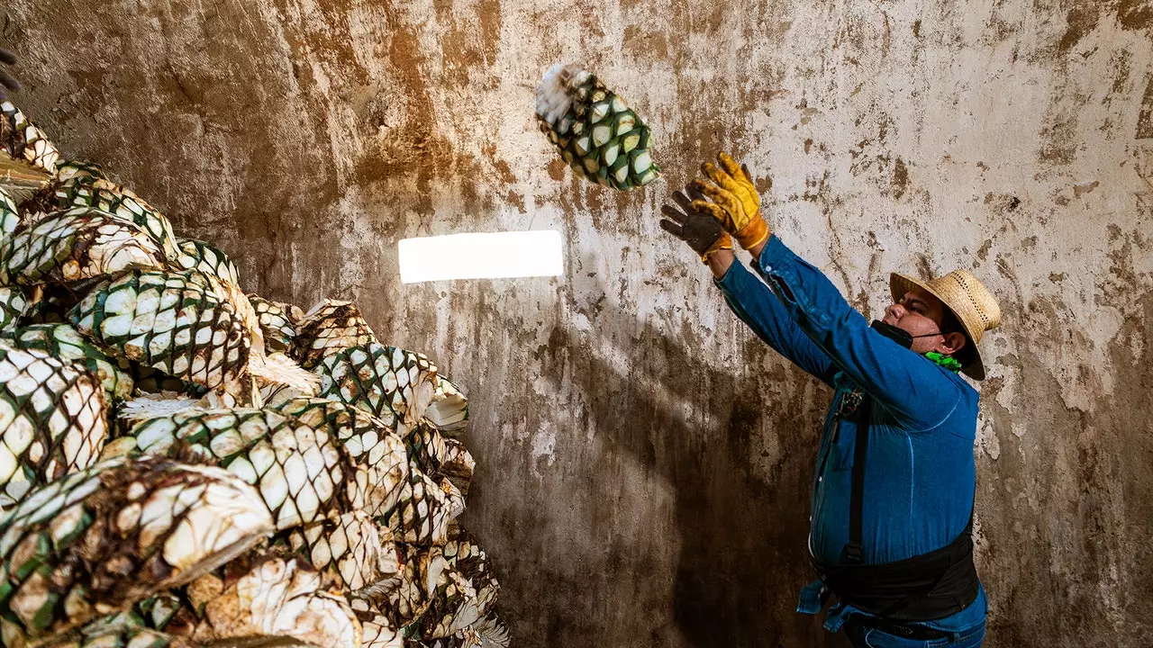 Tequila, pri ktorej v Mexiku prídete o rozum