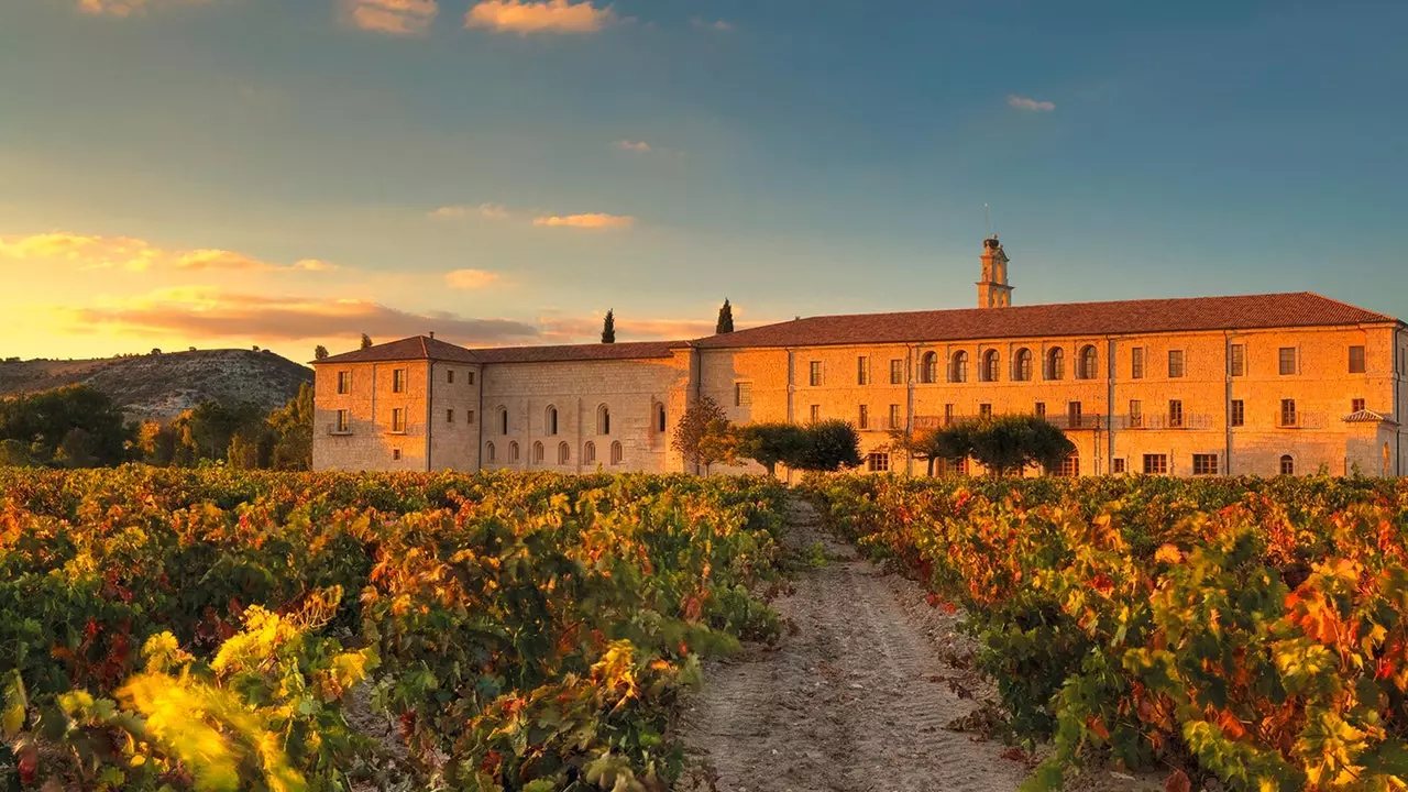 Cele mai bune hoteluri de vin: ce ar trebui să aibă... pentru a avea totul