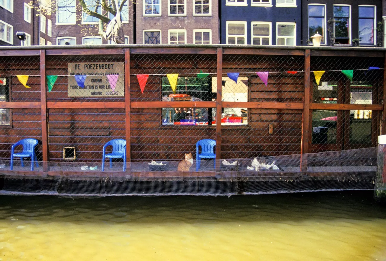 CatBoat, makazi ya paka ambayo huelea kwenye mifereji ya Amsterdam