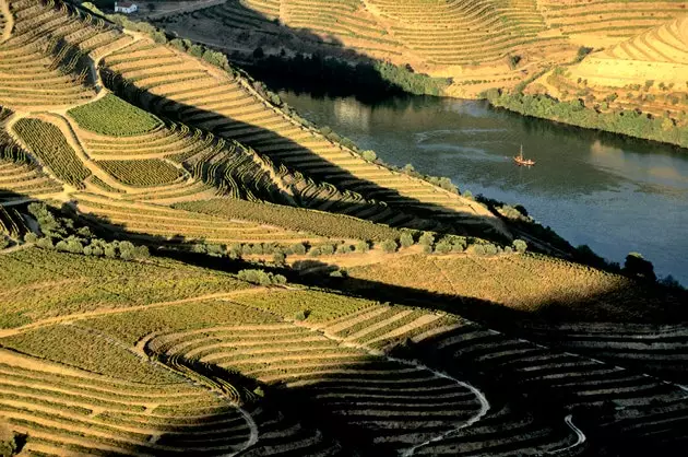 Weinberge am Ufer des Duero