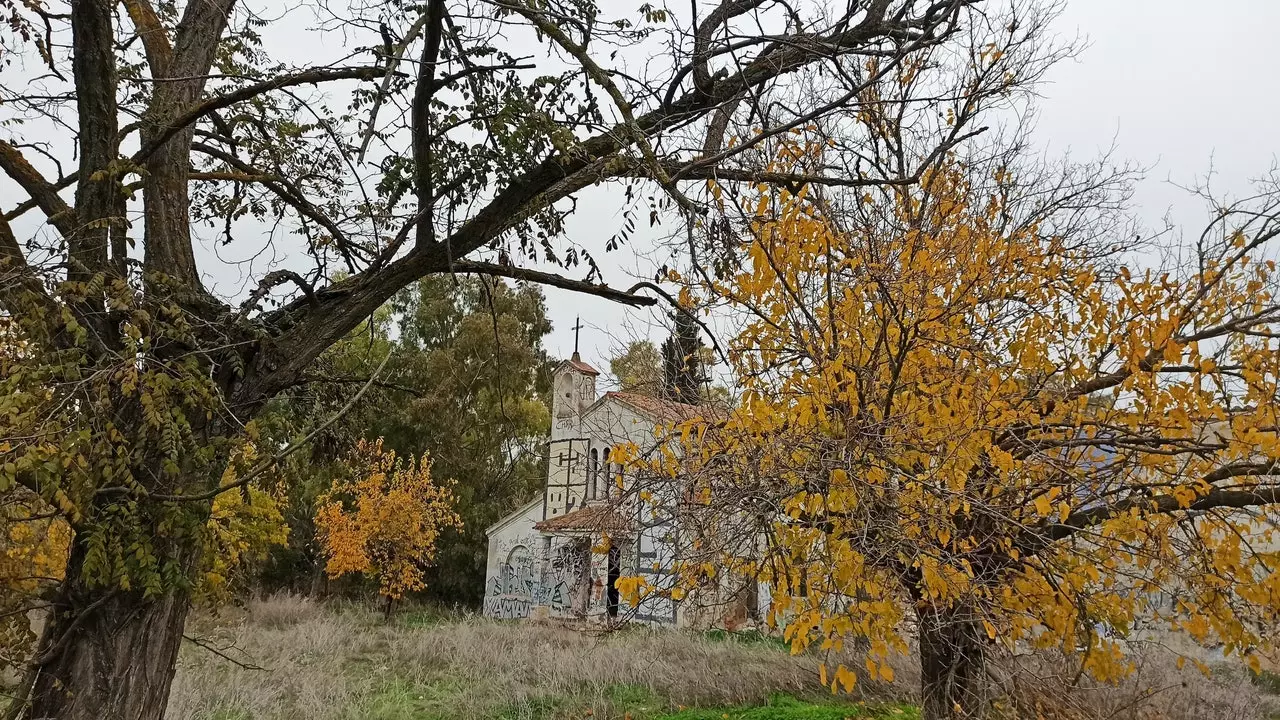 De Spazéiergang duerch de Bësch deen Dir zu Madrid vermësst (de Regionalpark vum Südosten)