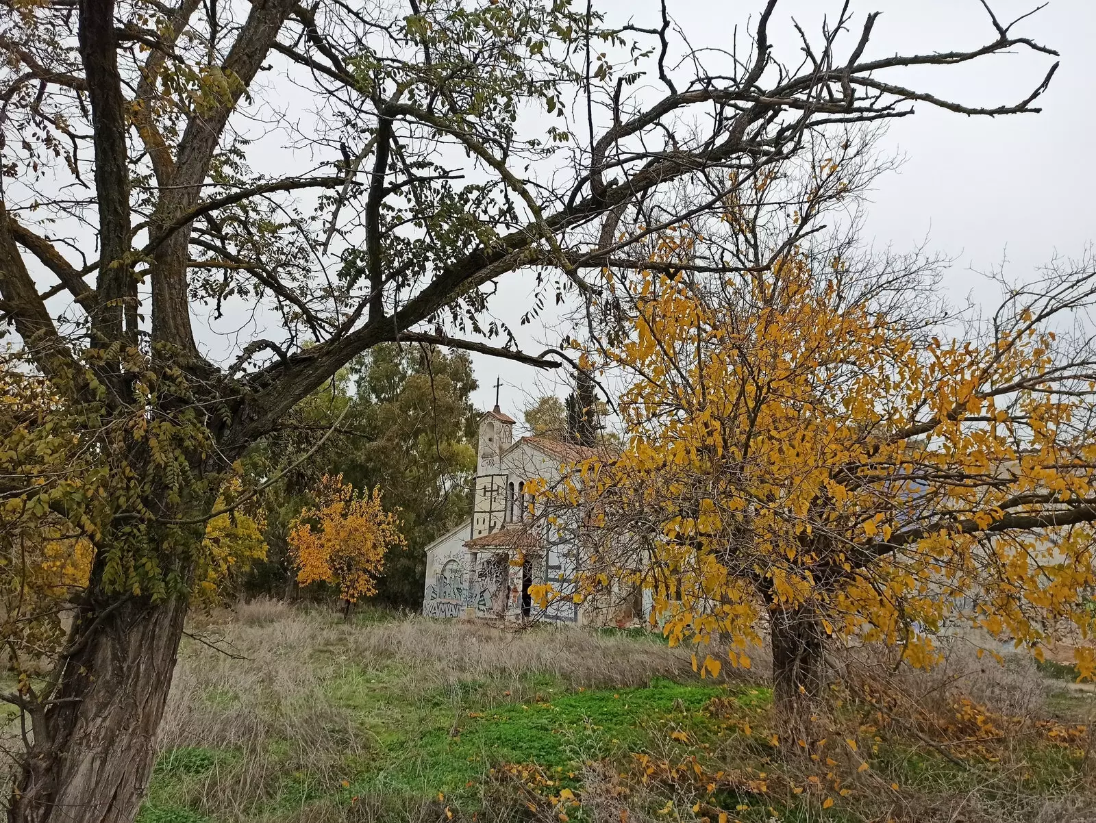 Манзанарес, Жарама хоёр уулздаг зүүн өмнөд бүсийн цэцэрлэгт хүрээлэн