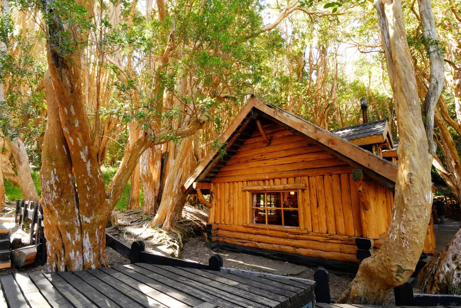 De magiske omgivelser i Los Arrayanes National Park.