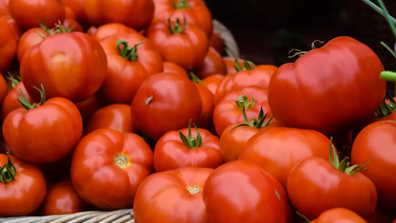 Alerte rouge : ce sont les deux meilleures tomates de Majorque