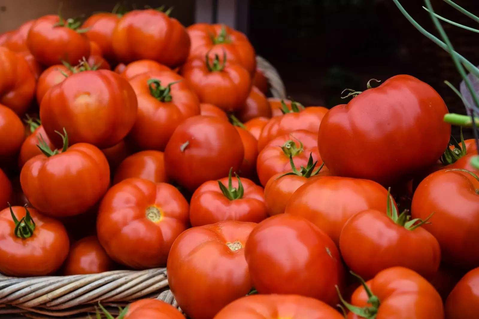 Här är de två bästa tomaterna från Mallorca 2021