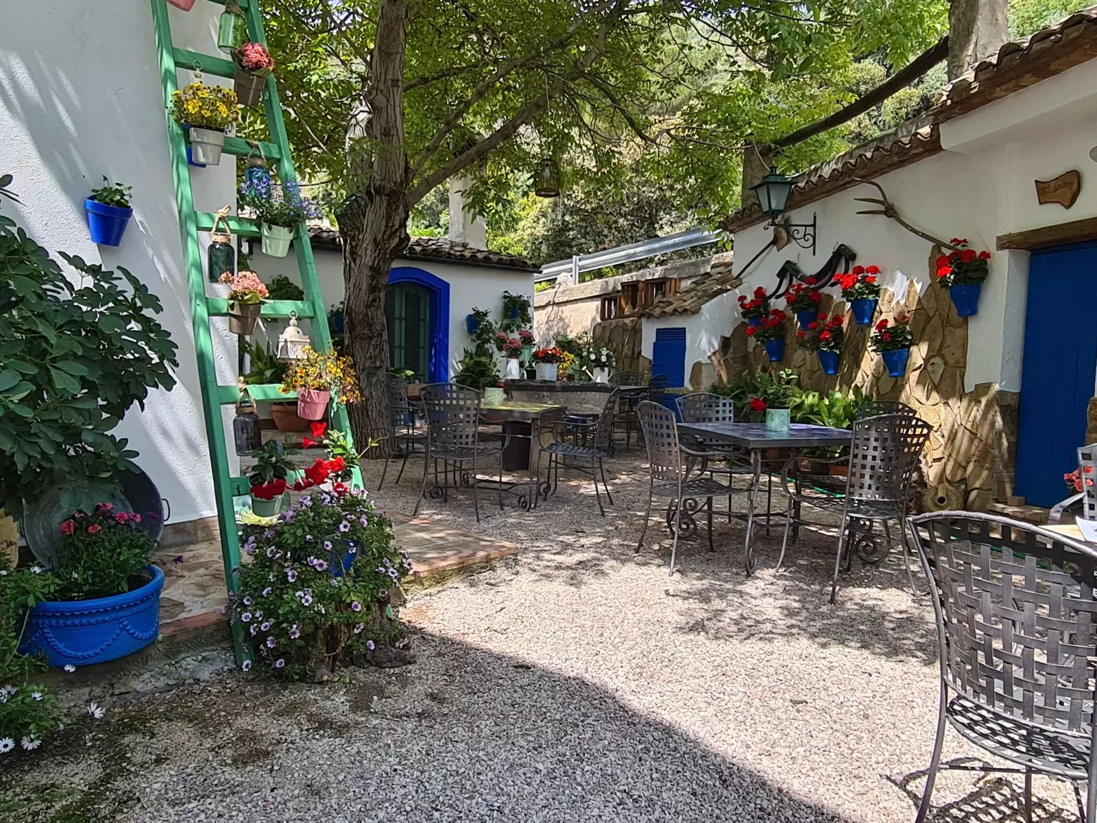 Patio del Rincón de Carmen di Rute.