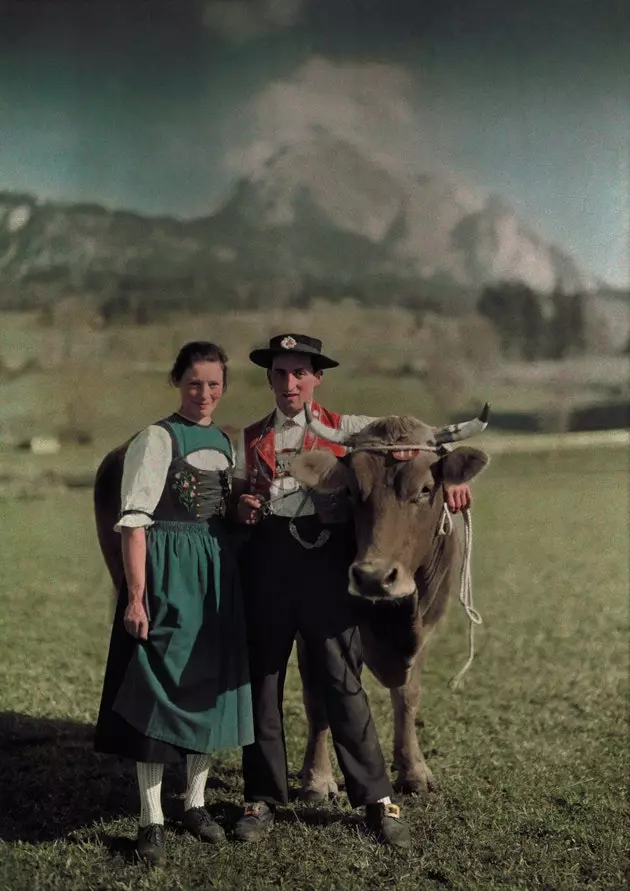 1930年代から友達になったスイスの牛