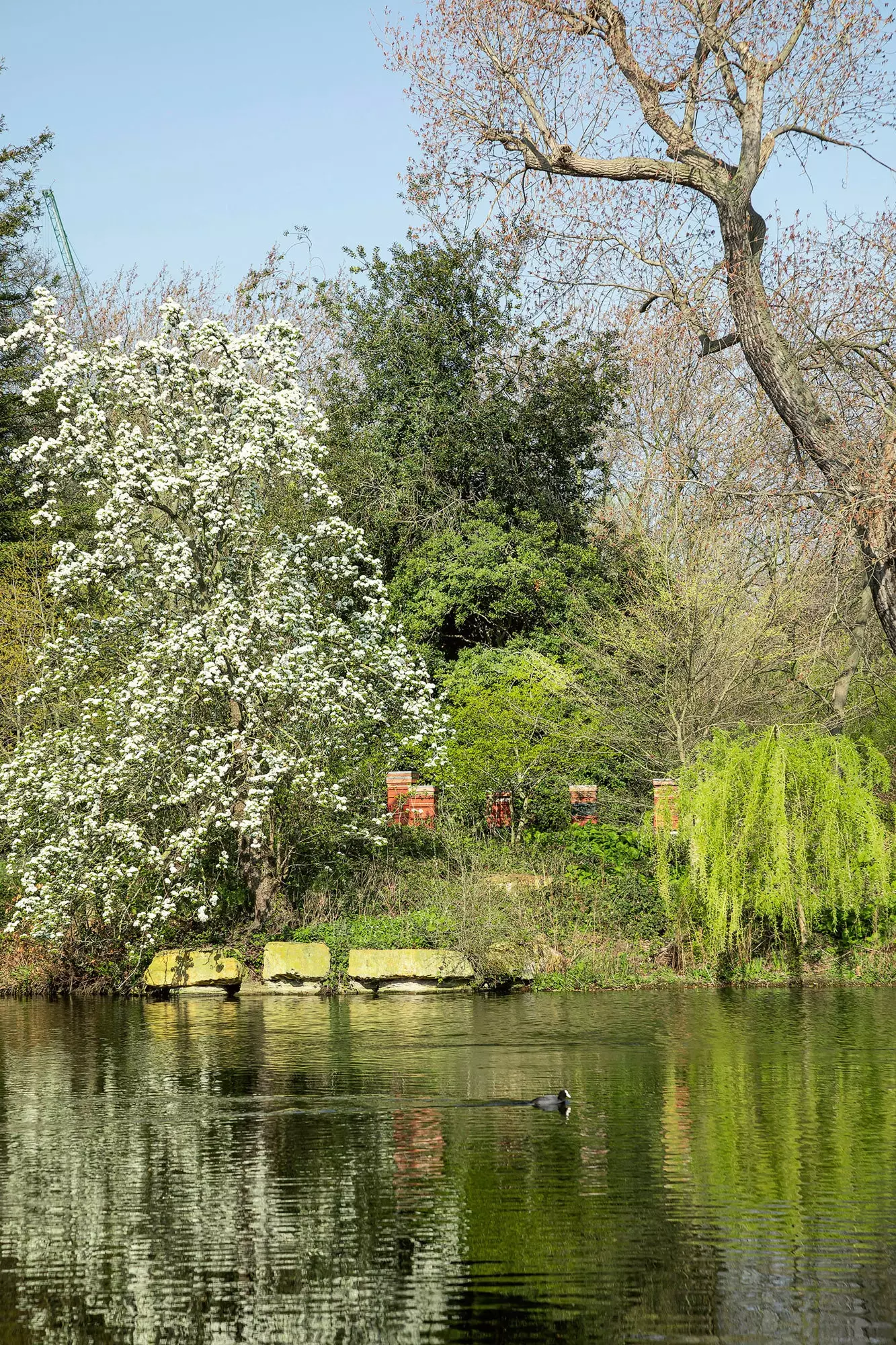 Buckingham paleis