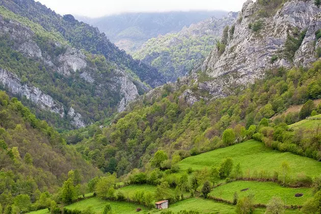 A Caleao la strada e tutto il resto finisce