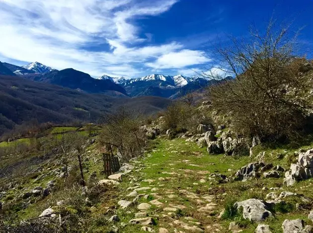 Via del Camin D'Aceu