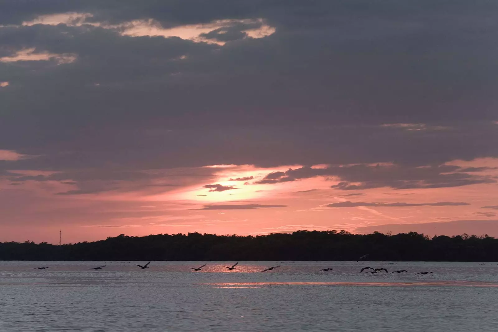 Tramonto a Celestun Yucatn