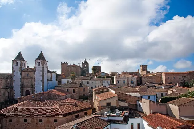 Mangia, cammina, divertiti a Cceres