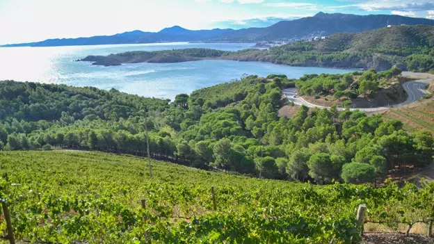 Naoi wineries céim amháin ar shiúl ó na Costa Brava