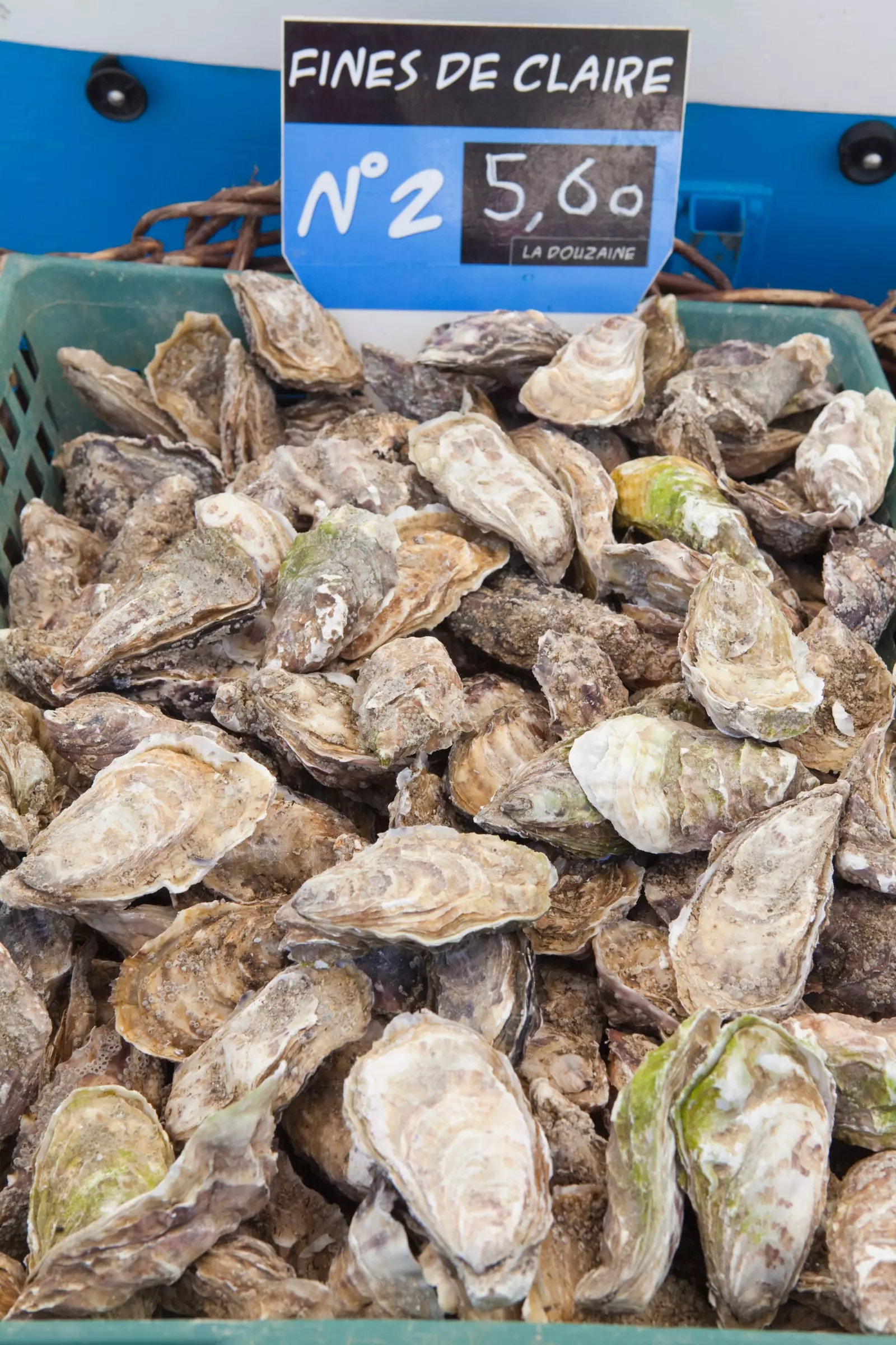 Oysters in La Rochelle.