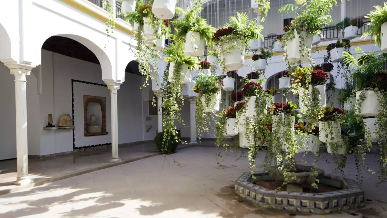 Festival FLORA mengisi Córdoba dengan warna lagi