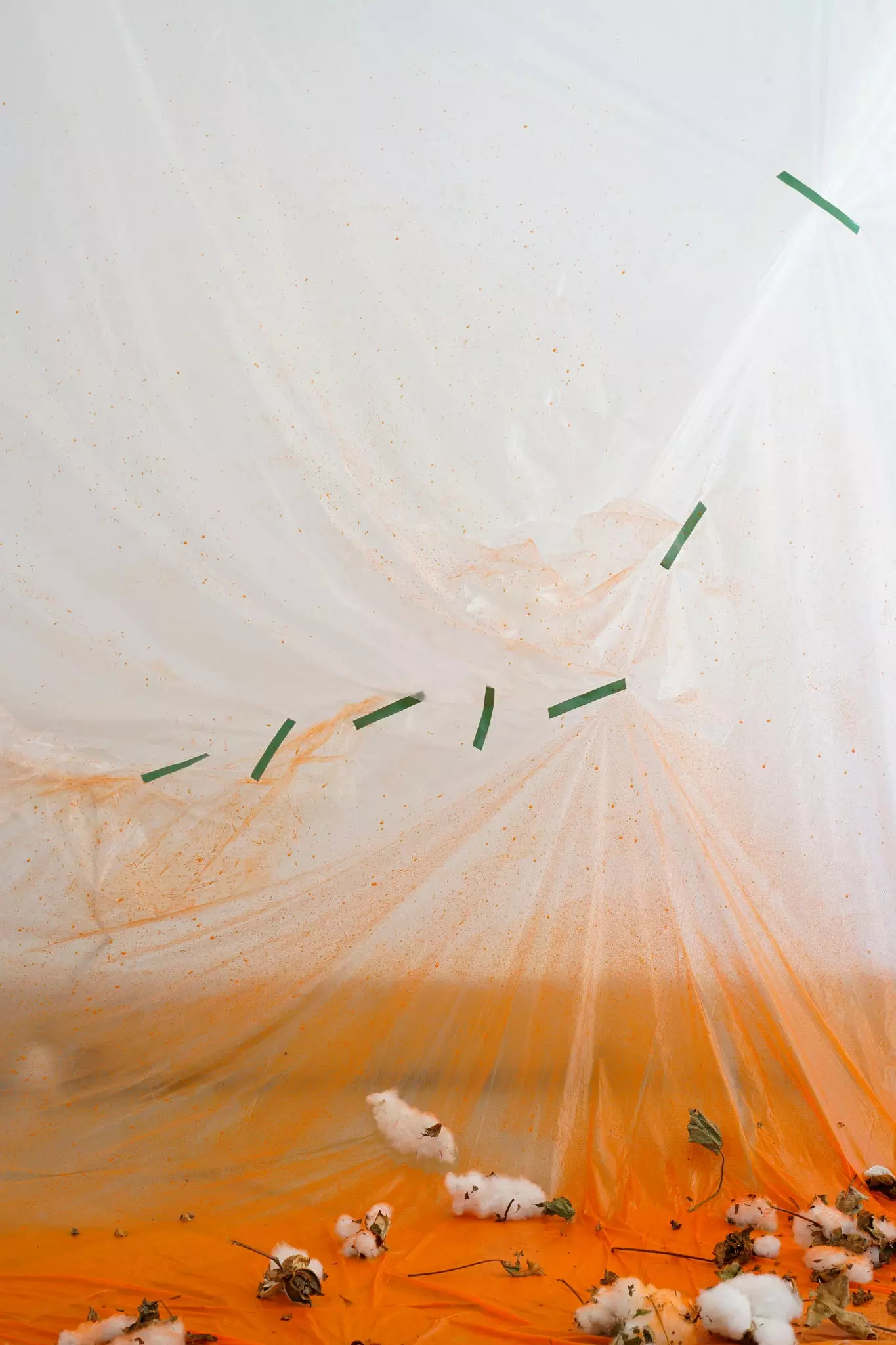 FLORA ephemeral Konscht mat engem Goût vun Traditioun