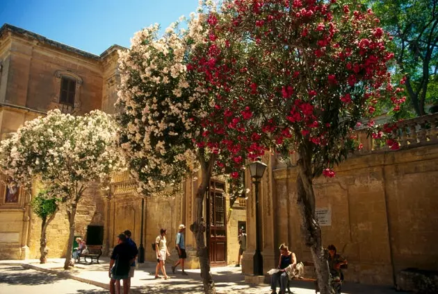 O'rta asrlar Mdina bo'ylab sayr