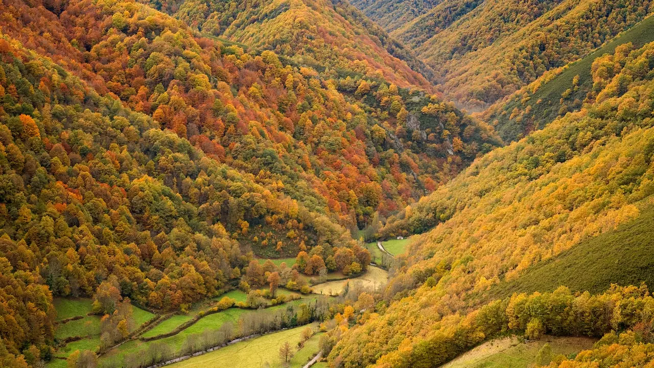 Dan u Muniellosu, najvećoj hrastovoj šumi u Španjolskoj