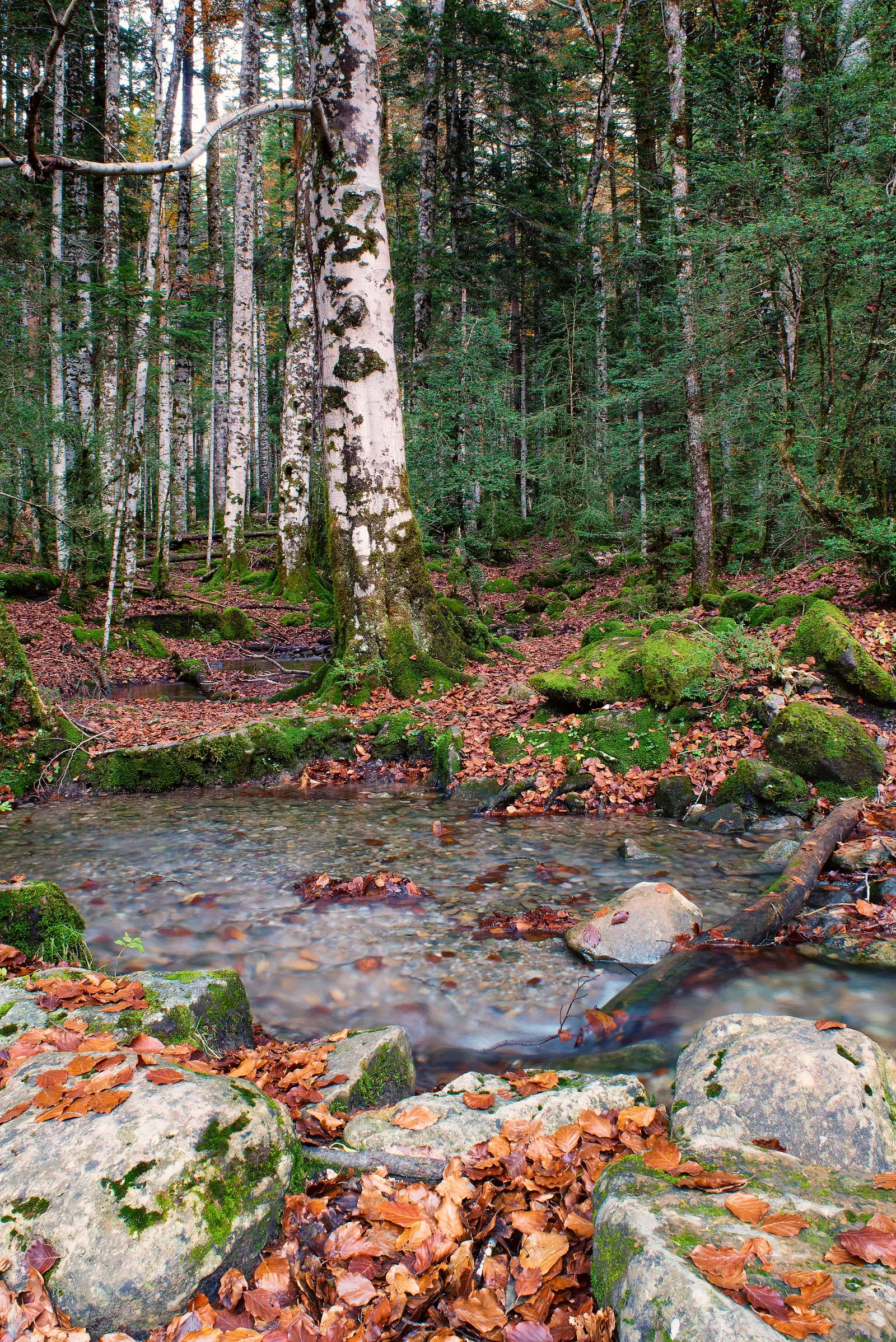 Park Nazzjonali ta' Ordesa u Monte Perdido