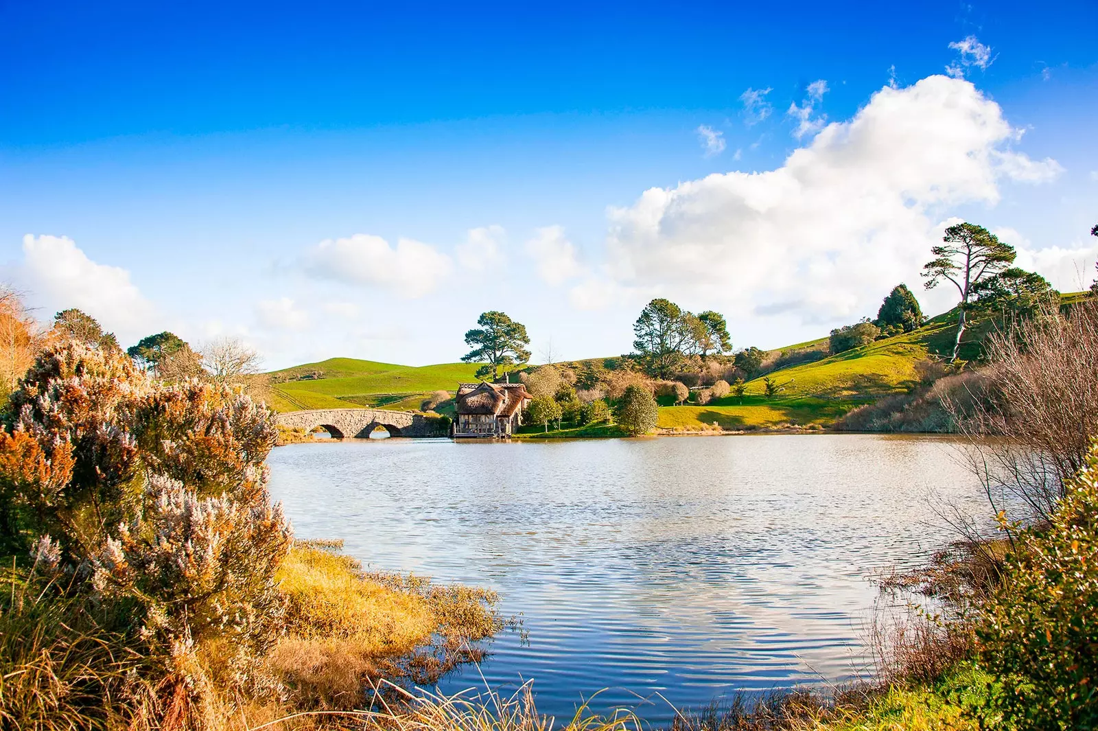 Tham quan Matamata Hobbiton ở New Zealand