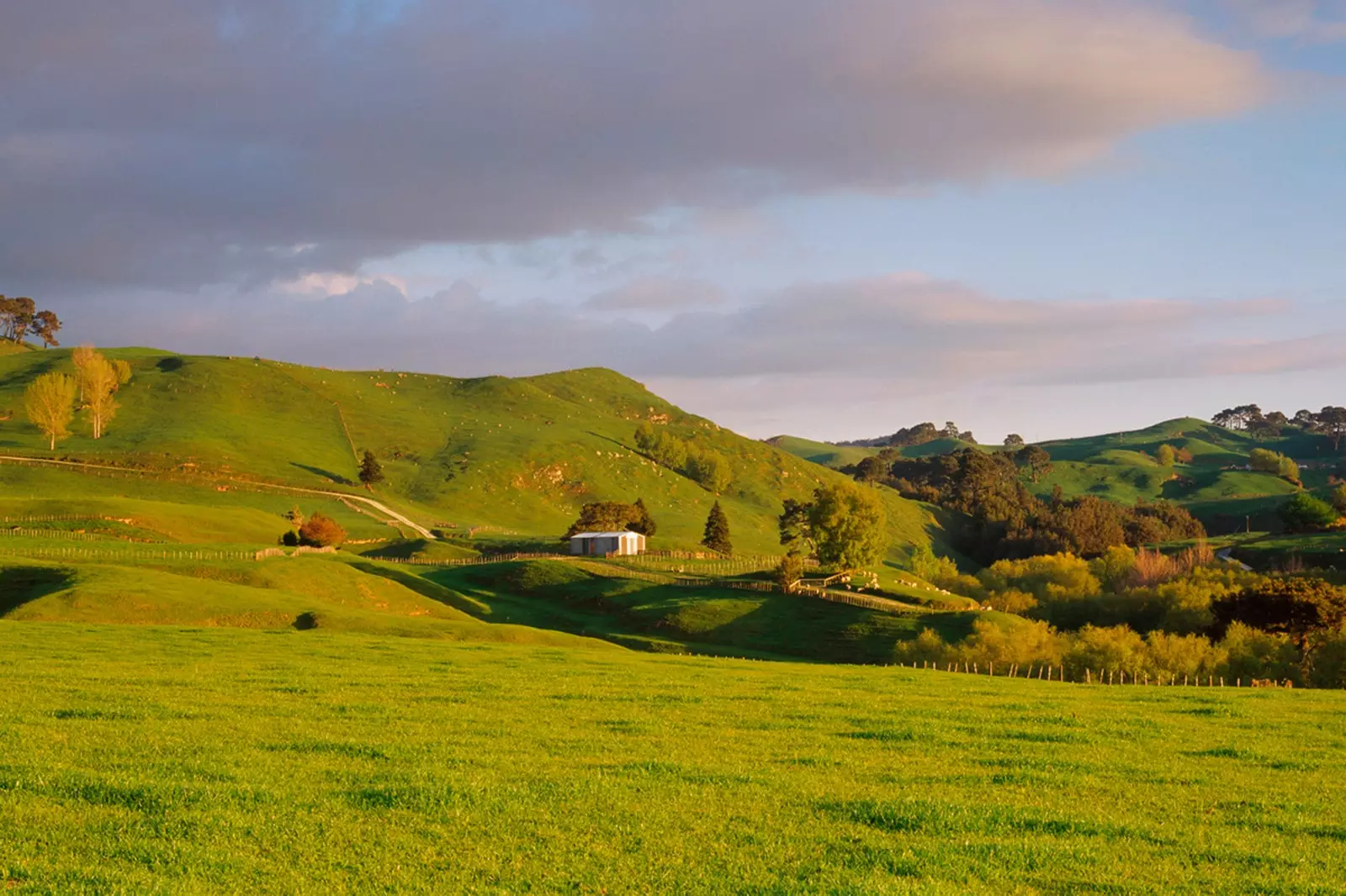 Yeni Zelanda'da yumuşak tepe toprakları