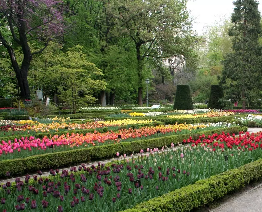 Passeggiata nel Giardino Botanico Reale