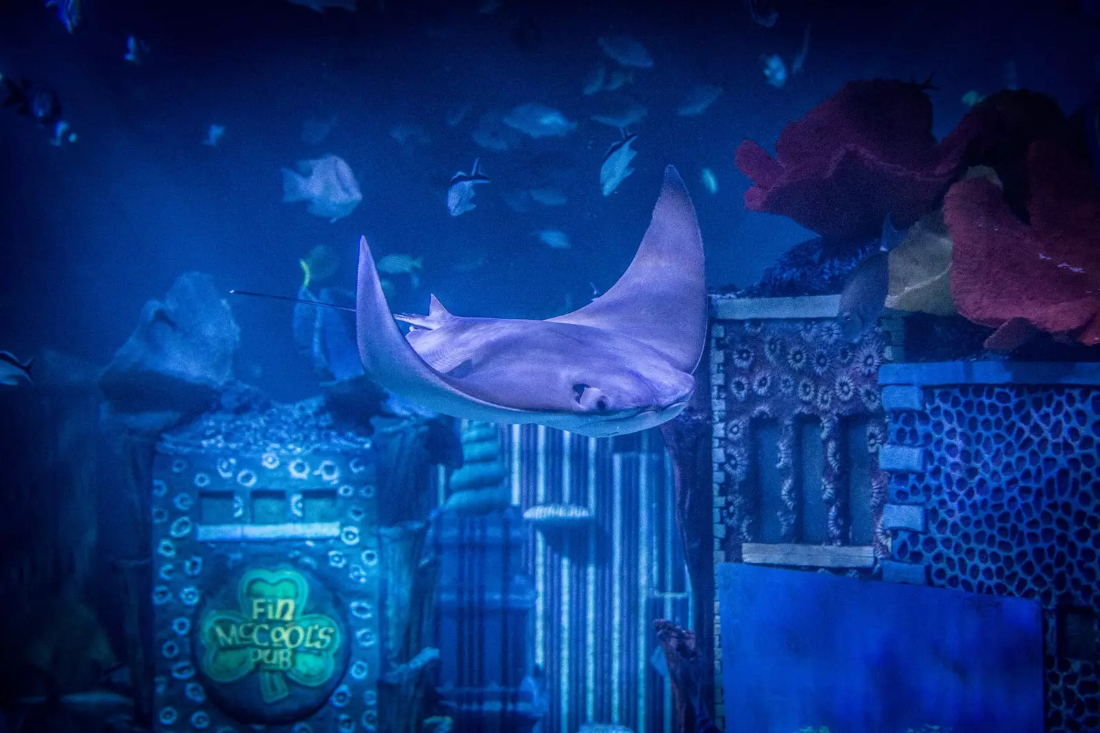 Αυτό είναι το νέο αξιοθέατο «City Under the Sea» στο Νιου Τζέρσεϊ