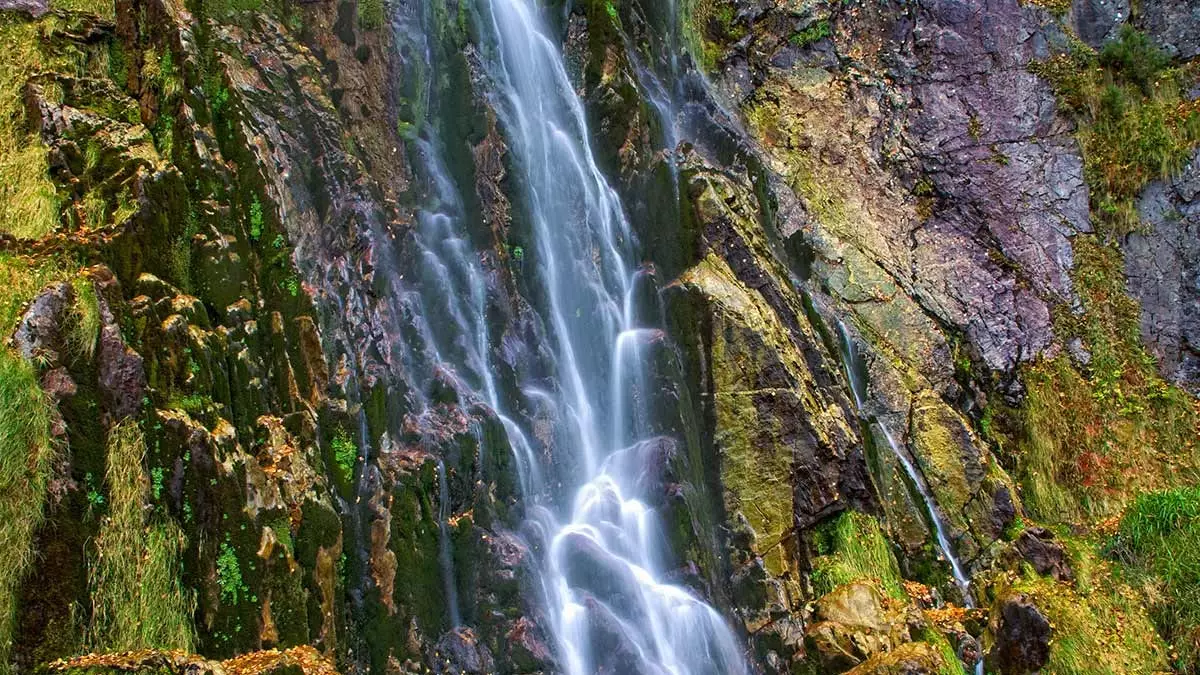 Powody, dla których warto odkryć Park Przyrody Redes