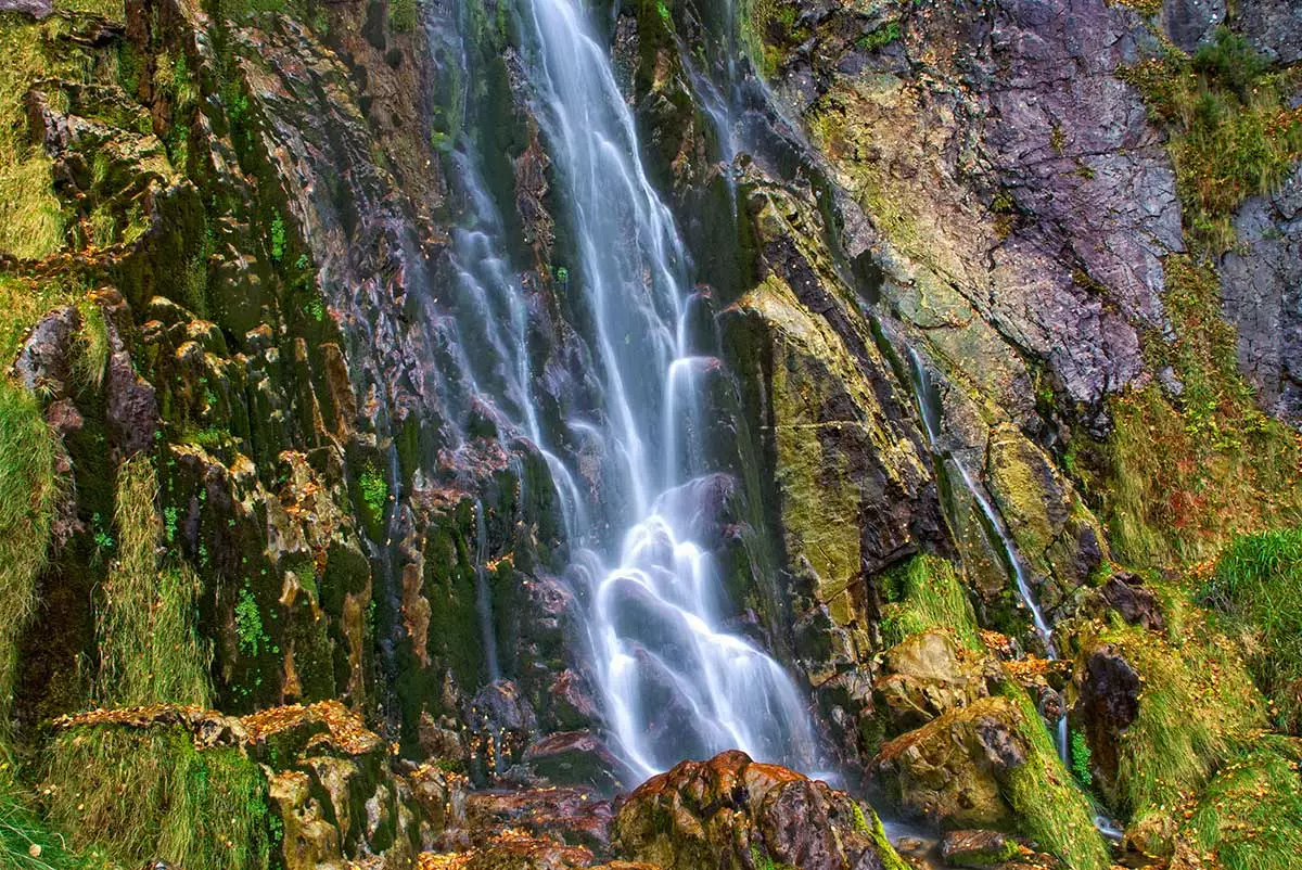 Wild pleasure in the Redes Natural Park