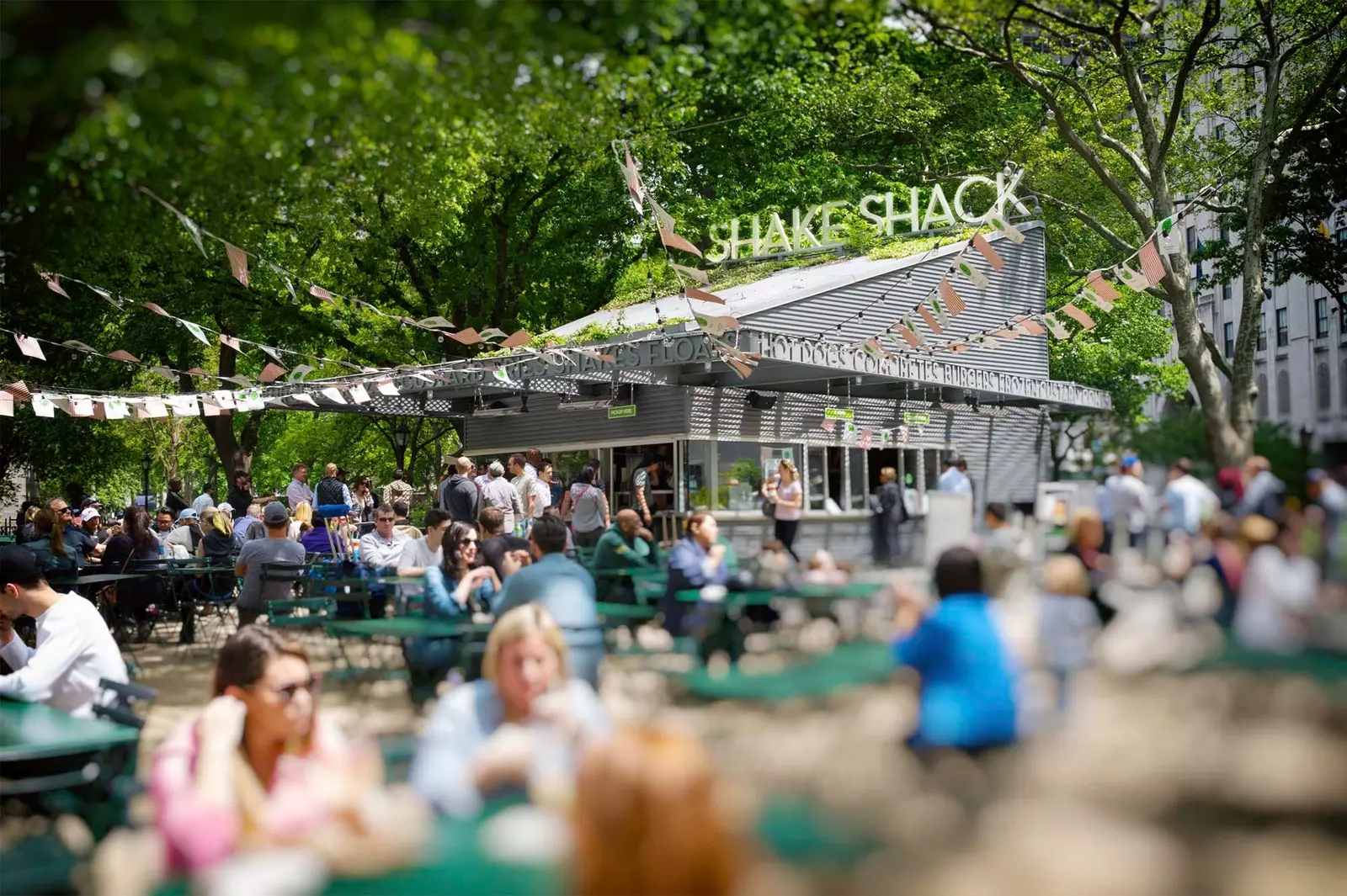 shake shack gairdín cearnach madison