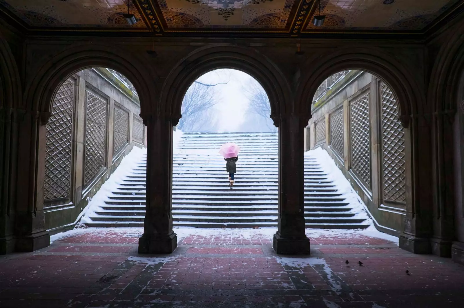 woman climbing stairs in central park