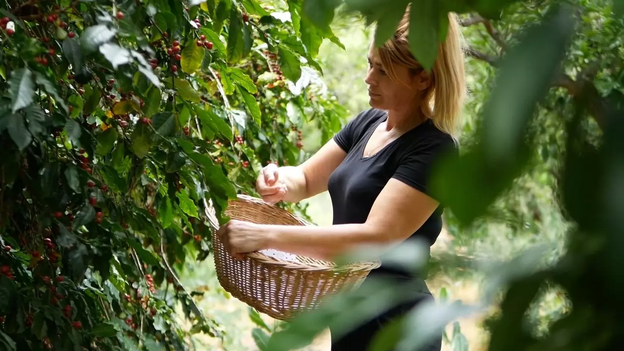 Španska kafa: dragulj doline Agaete