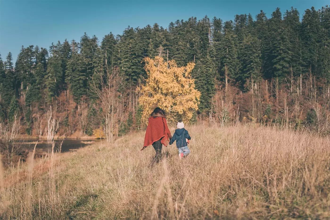 Najboljša pot vas bo vedno vodila proti zelenici