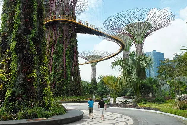 The city of Singapore is making innovative decisions to be greener