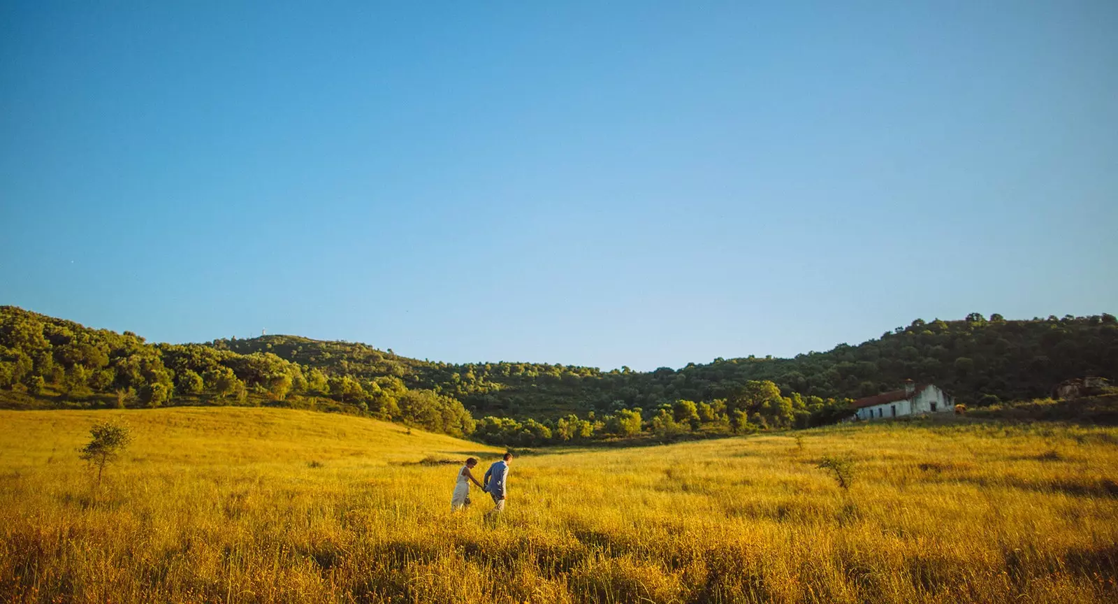 Herdade da Martinha周辺の田園地帯